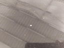 IMG_20260909_132647.jpg