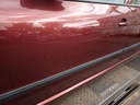 IMG_20260910_115536.jpg