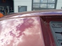 IMG_20260910_115719.jpg