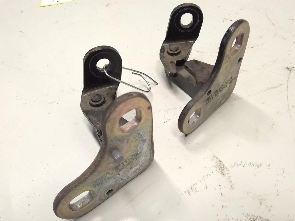 17894670416481255466295016183197.jpg