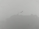 IMG_20260914_155904.jpg