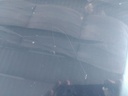 IMG_20260917_105438.jpg