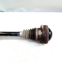 IMG_20260923_105231_8.jpg