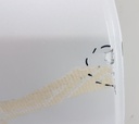 20260924_132912.jpg