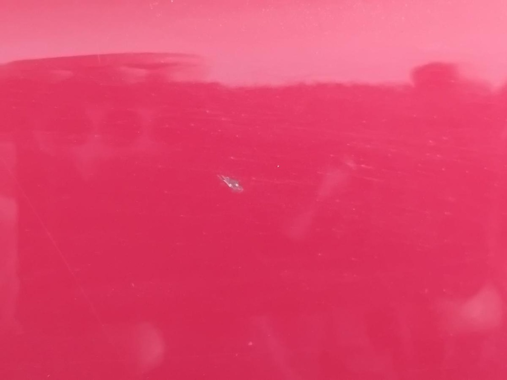 IMG_20260929_092010.jpg