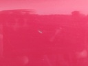 IMG_20260929_092010.jpg