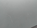 17907705732513187739140650476437.jpg