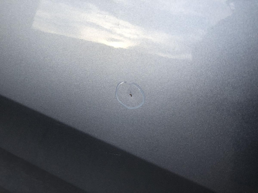 IMG_6808.JPG
