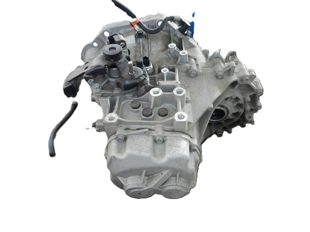 Ceed 0190 041.JPG