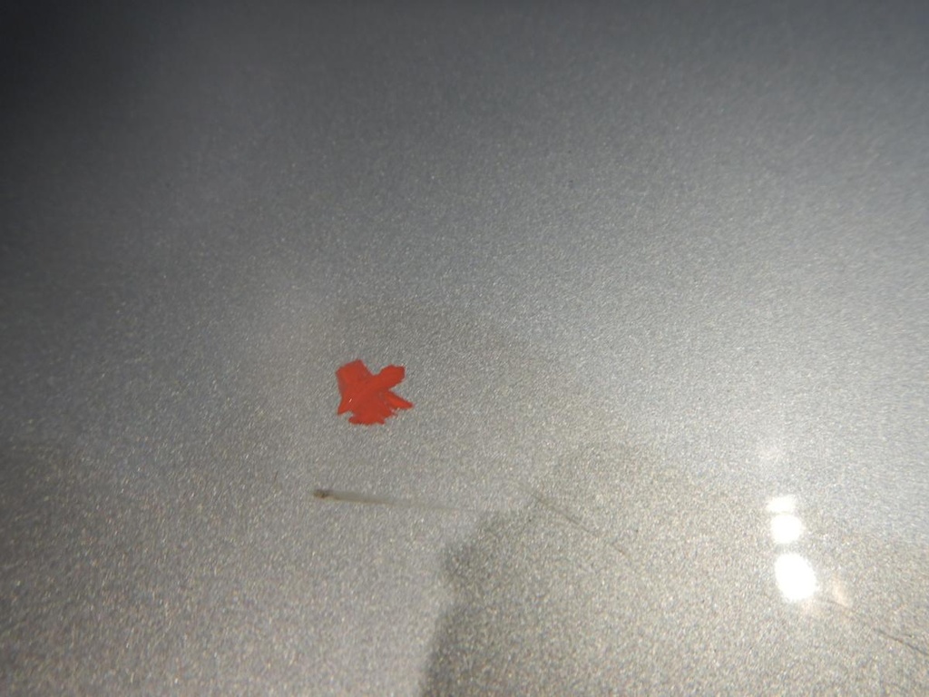 DSCN4696.JPG