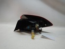 DSCN4723.JPG