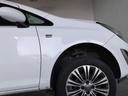 IMG_20261006_102711.jpg