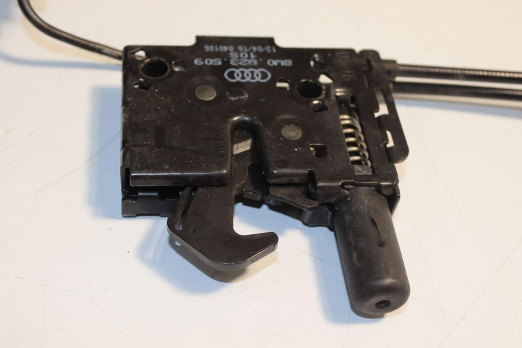IMG_3817.JPG