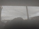 IMG_20261008_091750.jpg