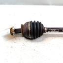 IMG_20261008_151234_0.jpg