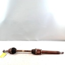 IMG_20261009_123524_0.jpg
