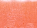 IMG_20261013_081614.jpg