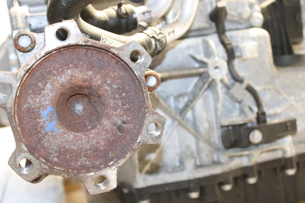 IMG_4315.JPG