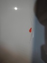 DSCN4938.JPG