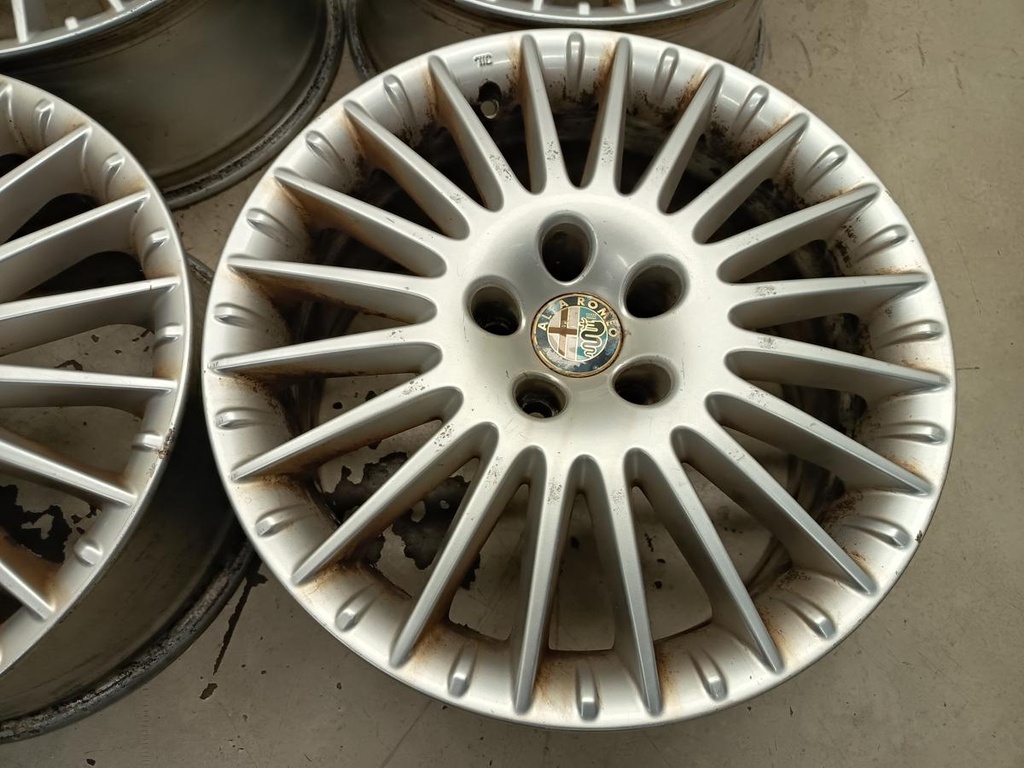 IMG_20261019_081103.jpg