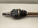 IMG_20261021_091932.jpg
