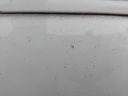 IMG_20261022_154957.jpg