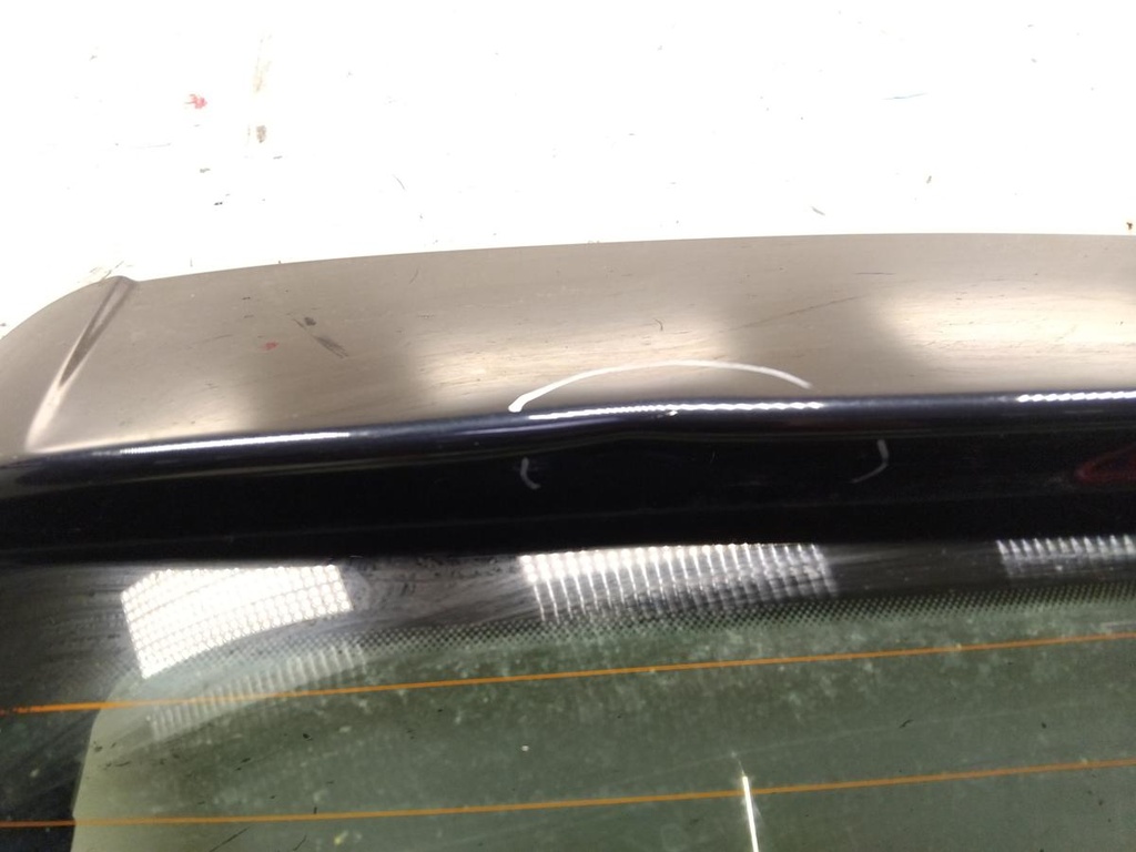 IMG_20261026_121158.jpg