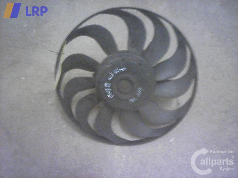 1000050502042_20100713180939.jpg