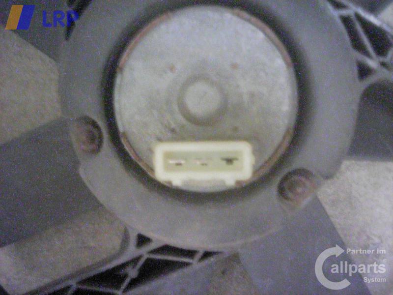 1000050472042_20100713180903.jpg