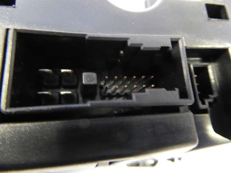 P1020613.JPG