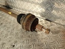 P1000824.JPG