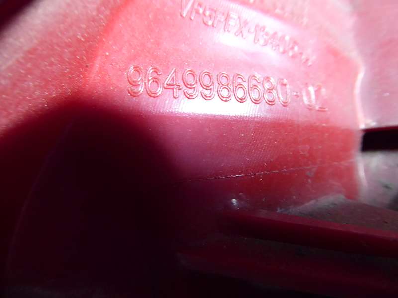 P1060031.JPG