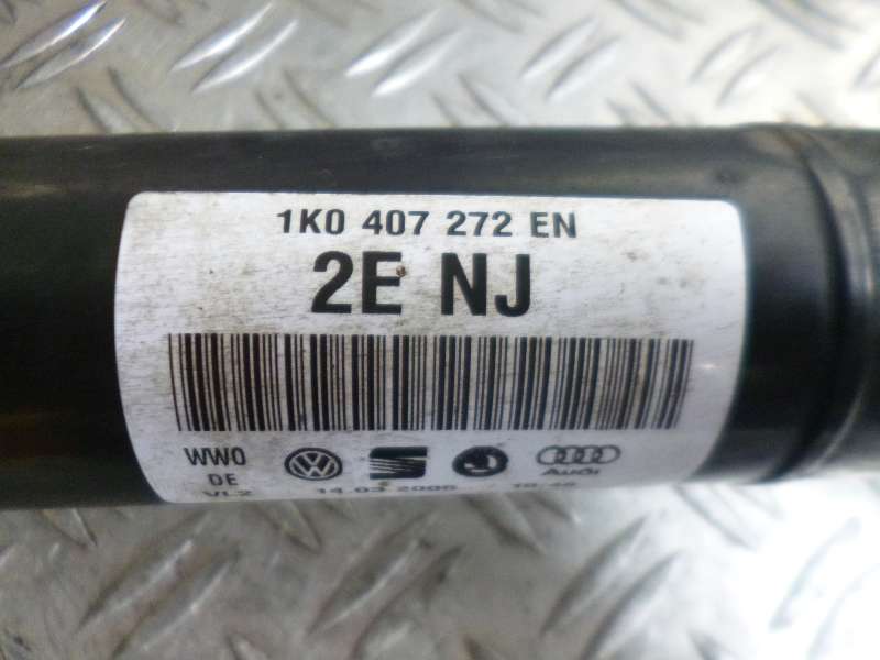 P1250241.JPG