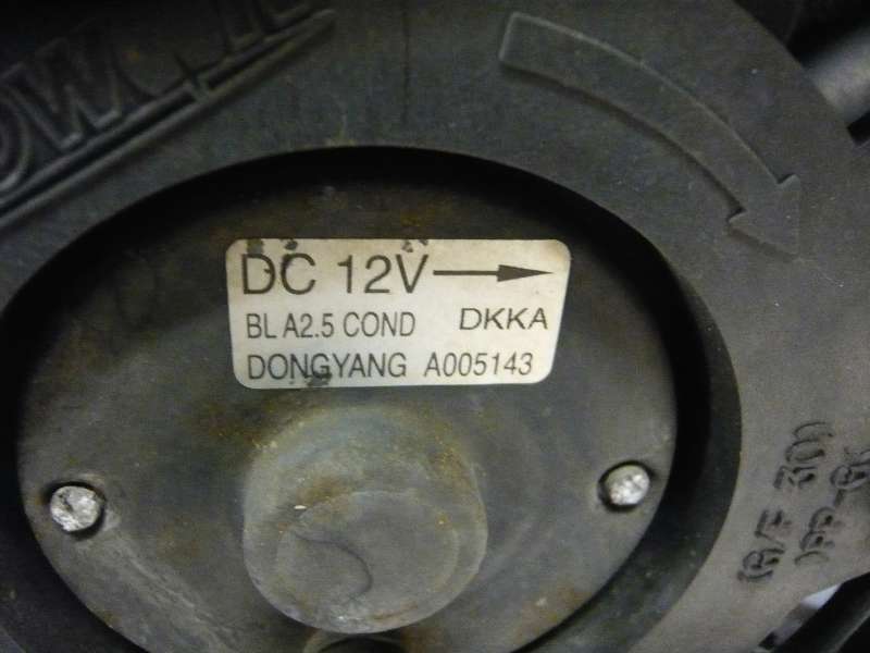 P1200259.JPG