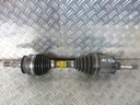 P1230231.JPG