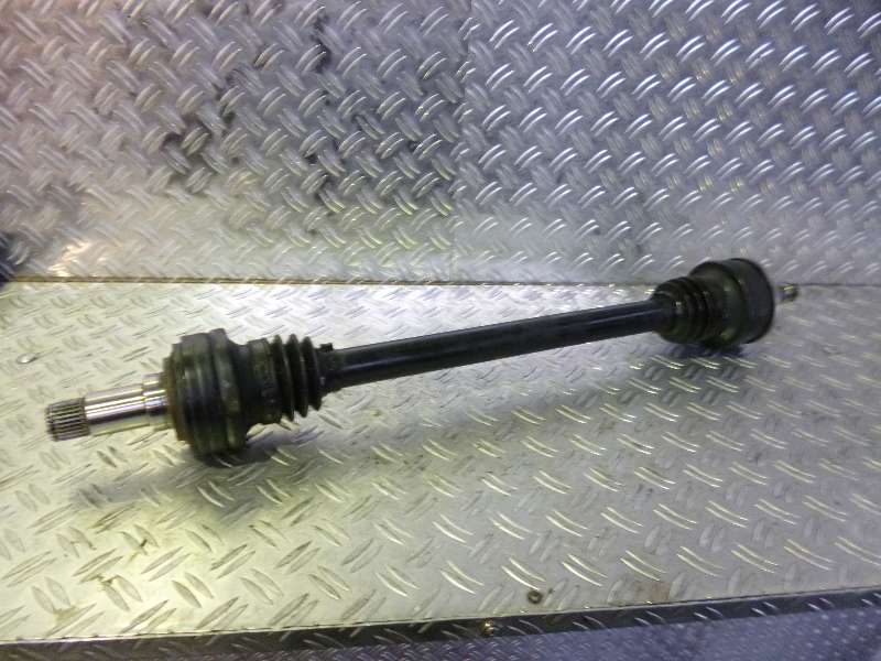 025.JPG