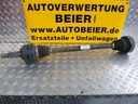 005.JPG