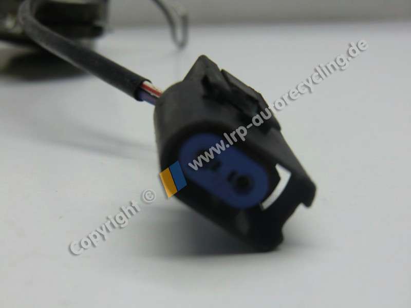 CIMG8558(371).JPG