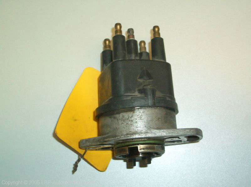 38445.JPG