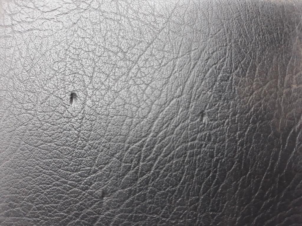 1002521971006_20190117095620.jpg