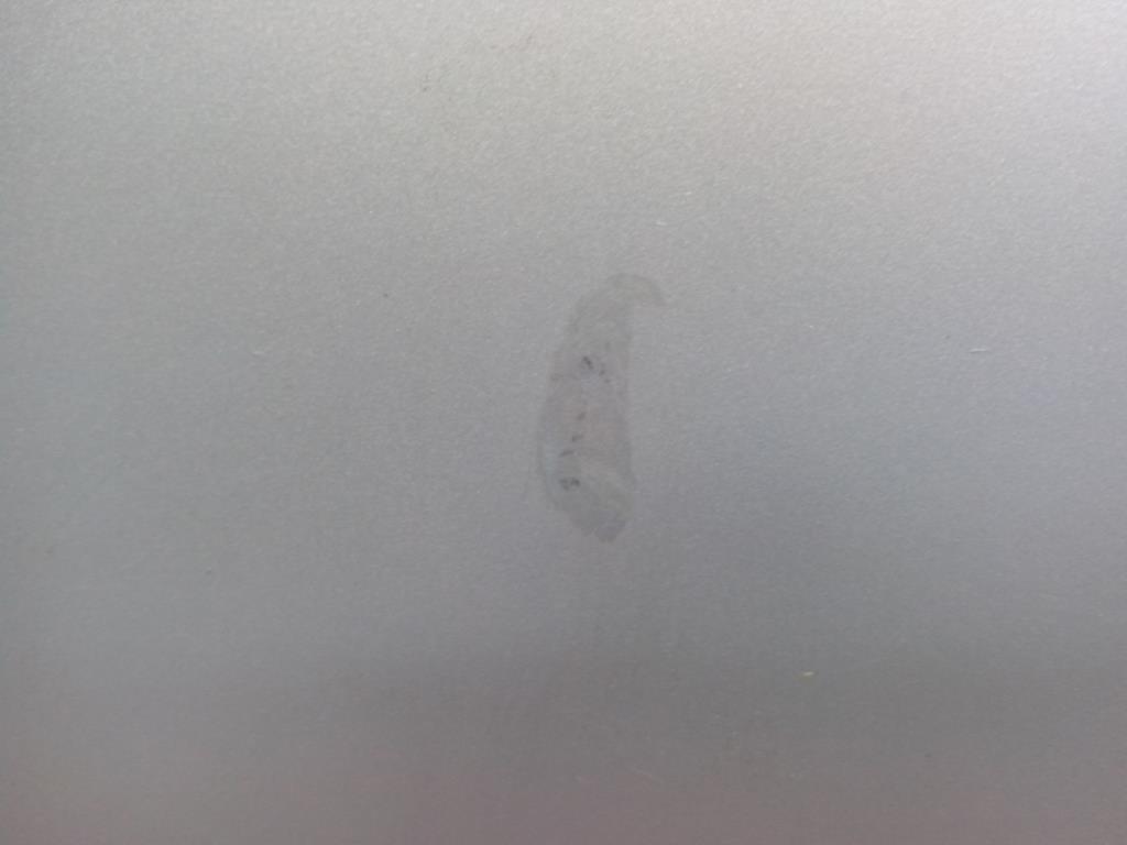 1002017971006_20180124102136.jpg