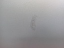 1002017971006_20180124102136.jpg