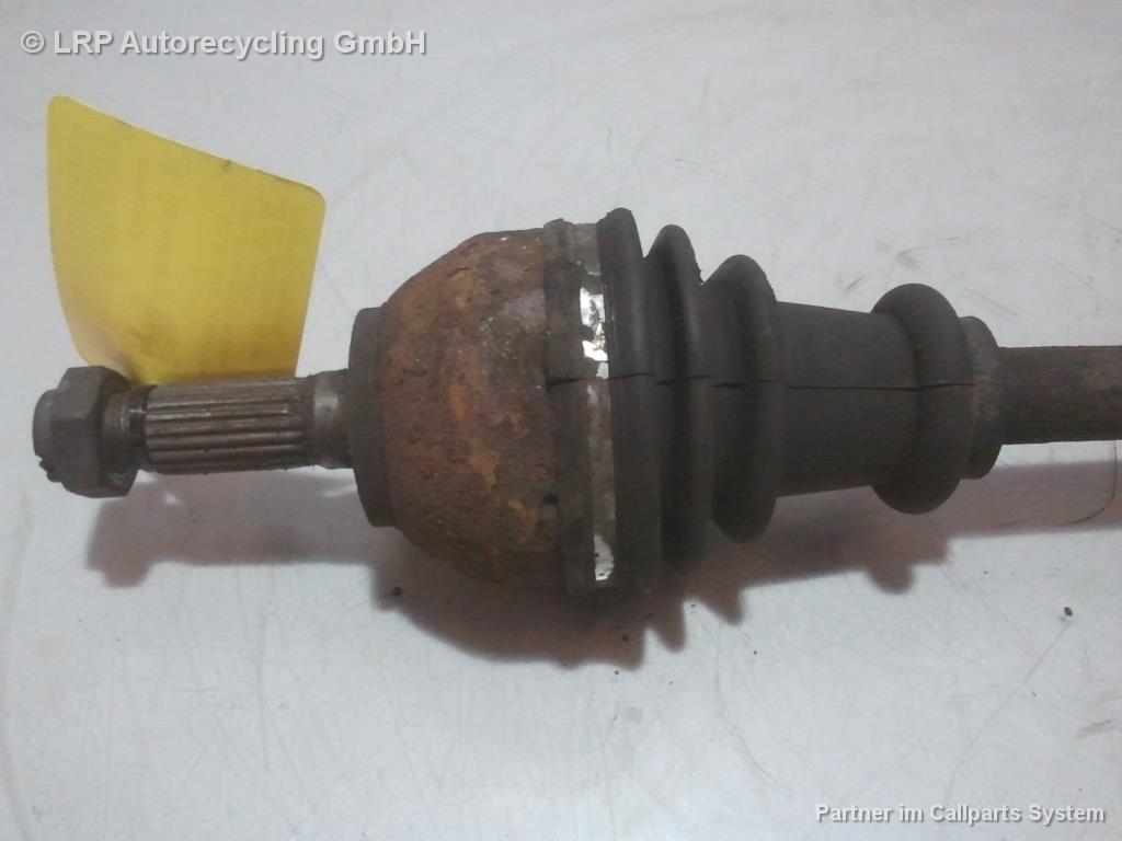 1003105341006_20160304172546.jpg