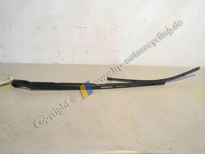 DSCN6387 (2).JPG