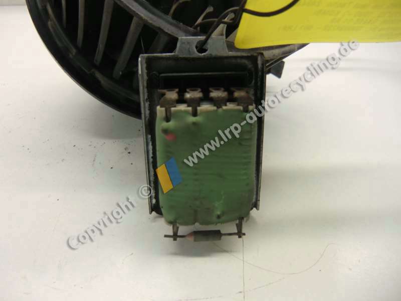 CIMG8841 (2).JPG