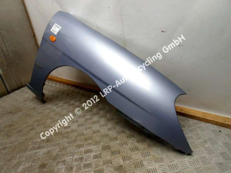 SAM_9950 (2).JPG