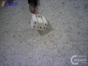 1002872321006_20120114120259.jpg