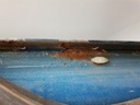1003675481006_20200727130152.jpg