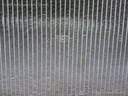 1004234491006_20170117174654.jpg