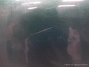 1004051981006_20160829164128.jpg